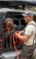 Preview: Hunde Suchleine Profi, Schweißleine , Schleppleine , Trainingsleine , Signalleine , 10 m
